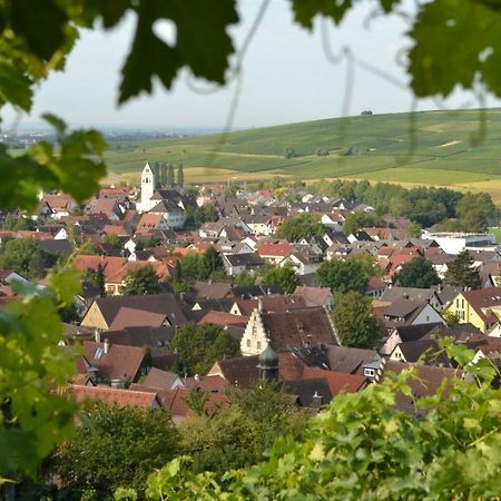 Ferienwohnung Schneckental Pfaffenweiler Buitenkant foto